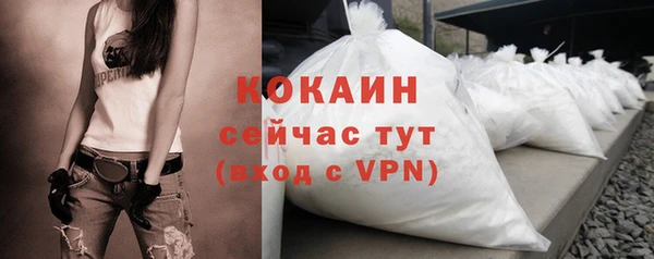 гашик Богданович