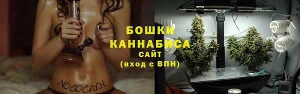 гашик Богданович