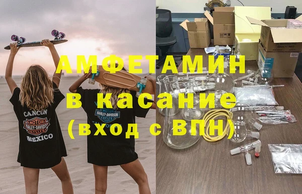 гашик Богданович