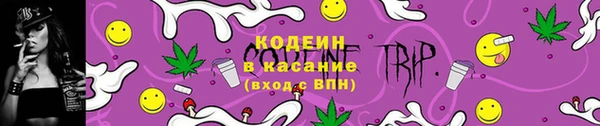 гашик Богданович
