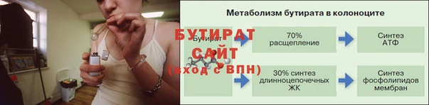 гашик Богданович