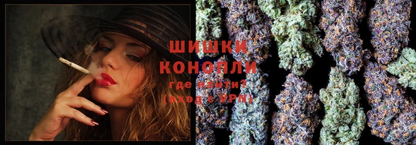 гашик Богданович