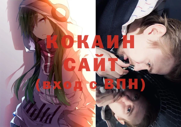 гашик Богданович