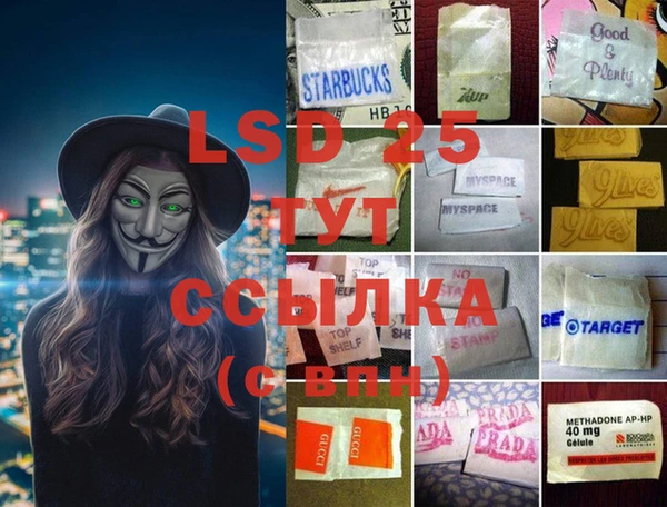 гашик Богданович
