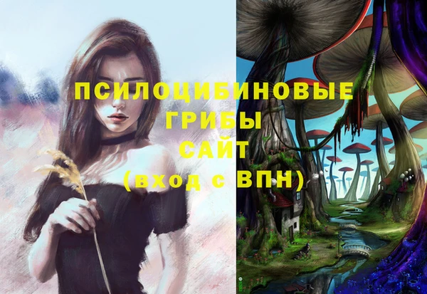 гашик Богданович