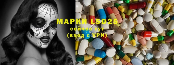 гашик Богданович