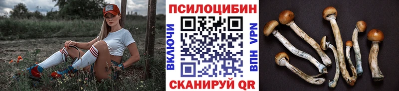 где купить наркоту  Безенчук  Галлюциногенные грибы Magic Shrooms 